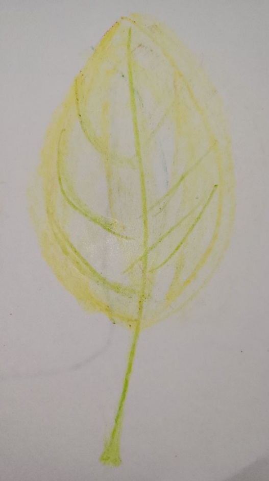 A close up of a leaf Description automatically generated