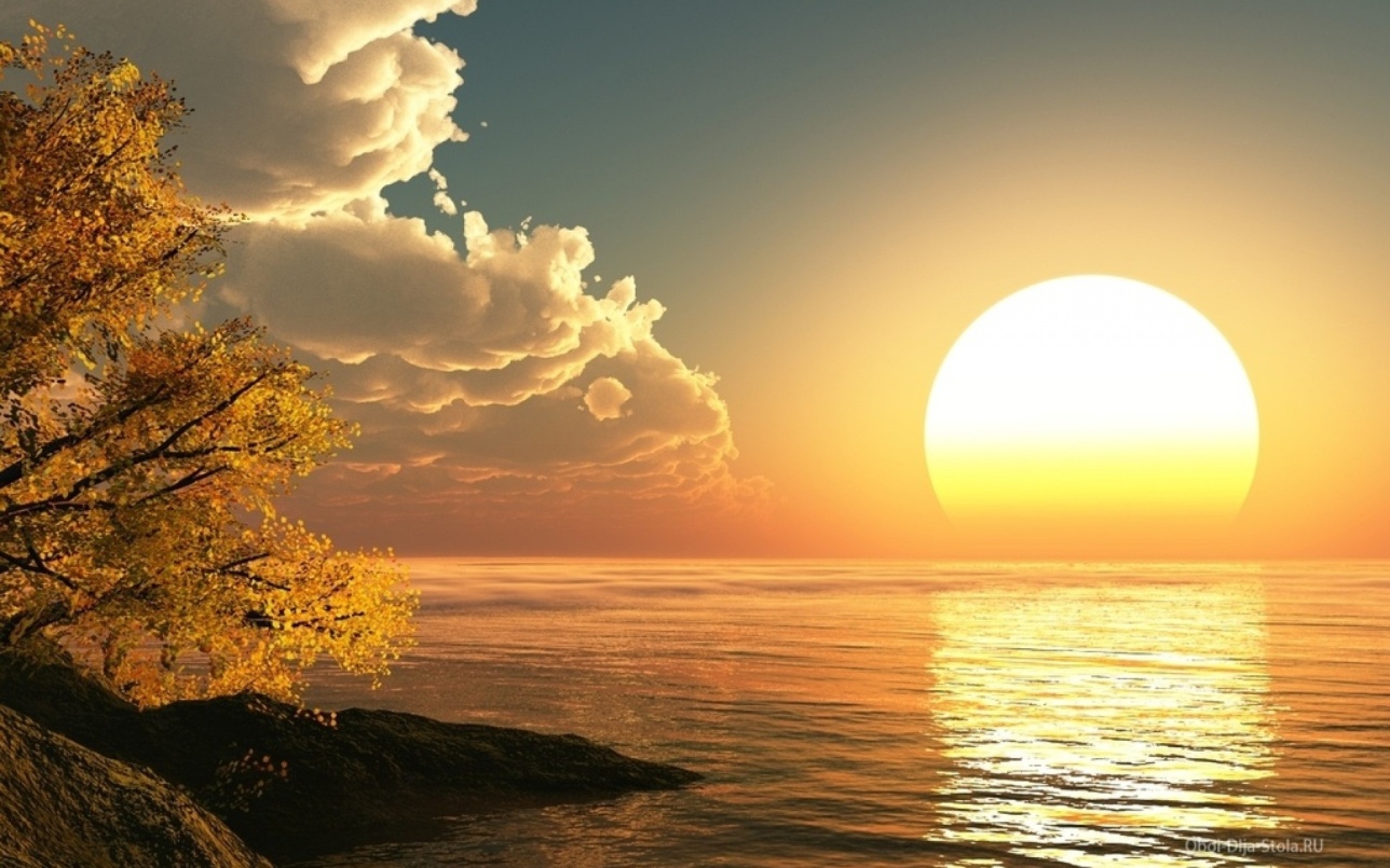 Картинки закат солнца на морском горизонте, горизонт, закат, солнце, море, облака, дерево - обои 1920x1200, картинка №150831